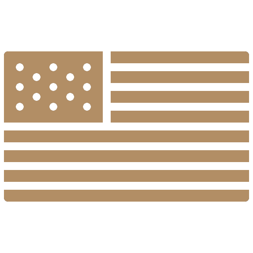 USA Flag icon from Flaticon created by Amonrat Rungreangfangsai